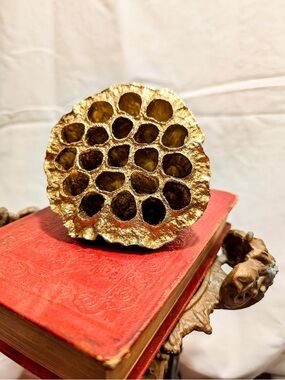 Decorative Gold Lotus Seed Pod Accent